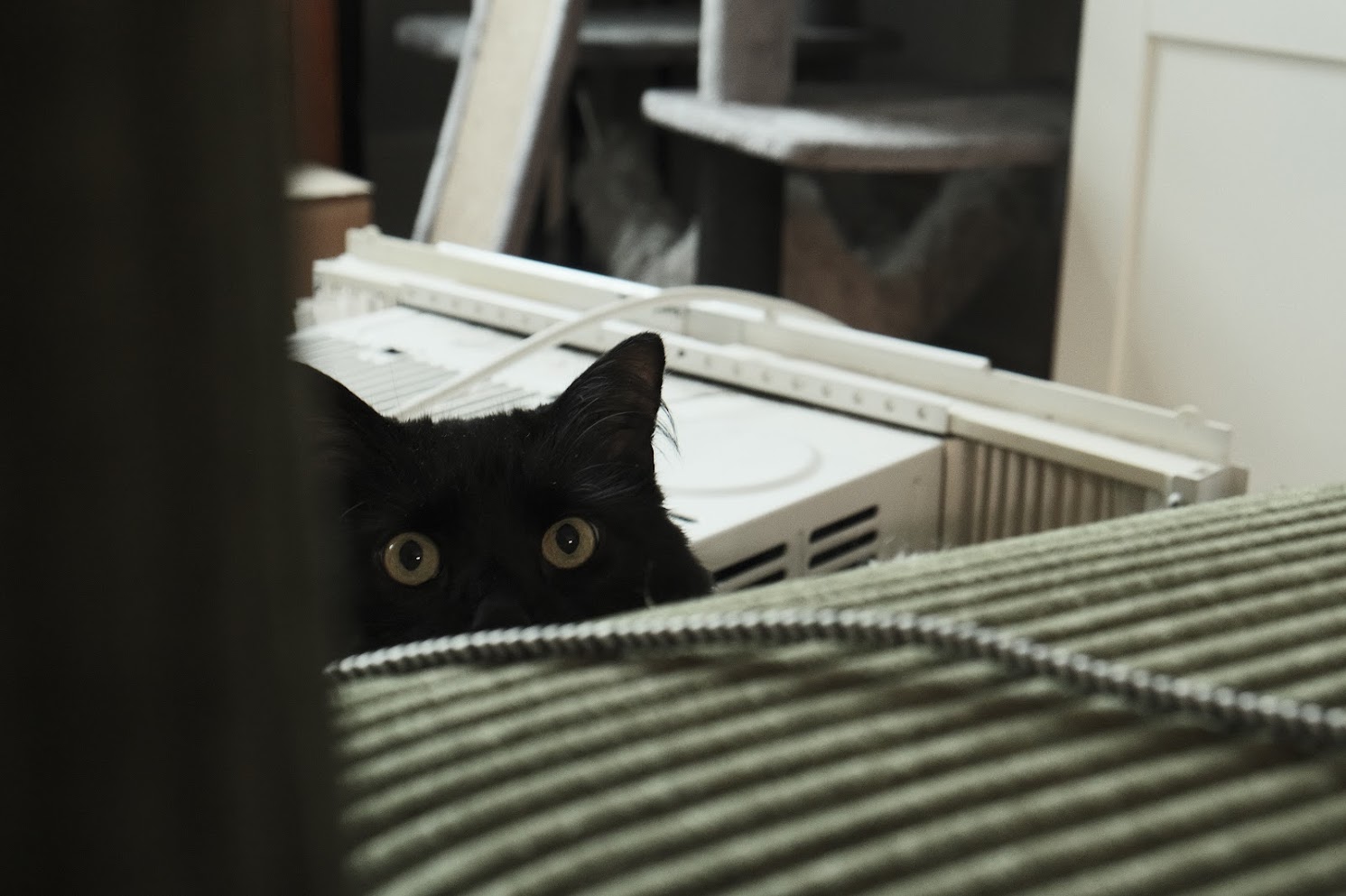 Peepo